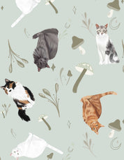 PIJAMA SHORT GATOS CRIOLLOS VERDE TS0029