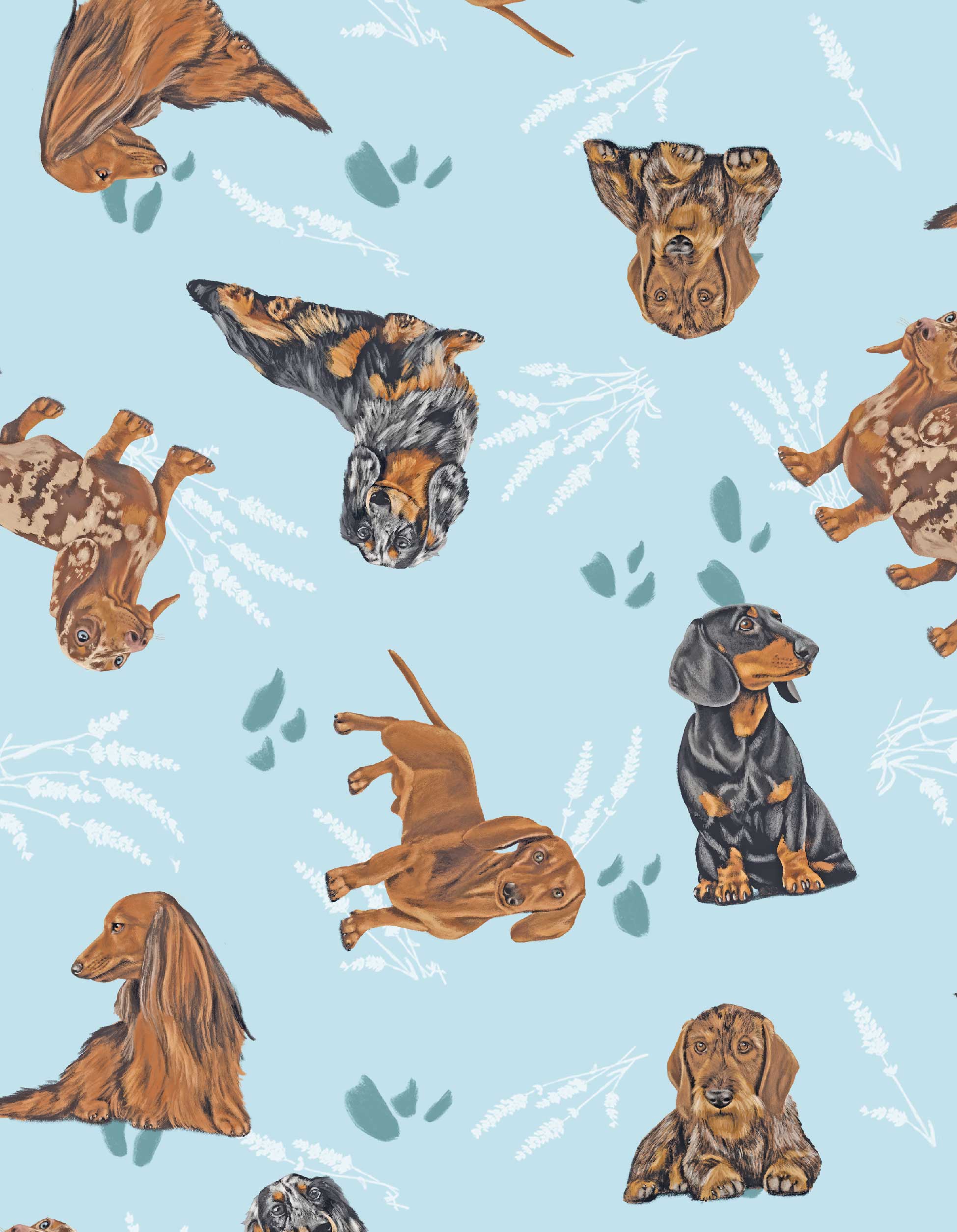 PIJAMA PANTALÓN SALCHICHA AZUL TP0067