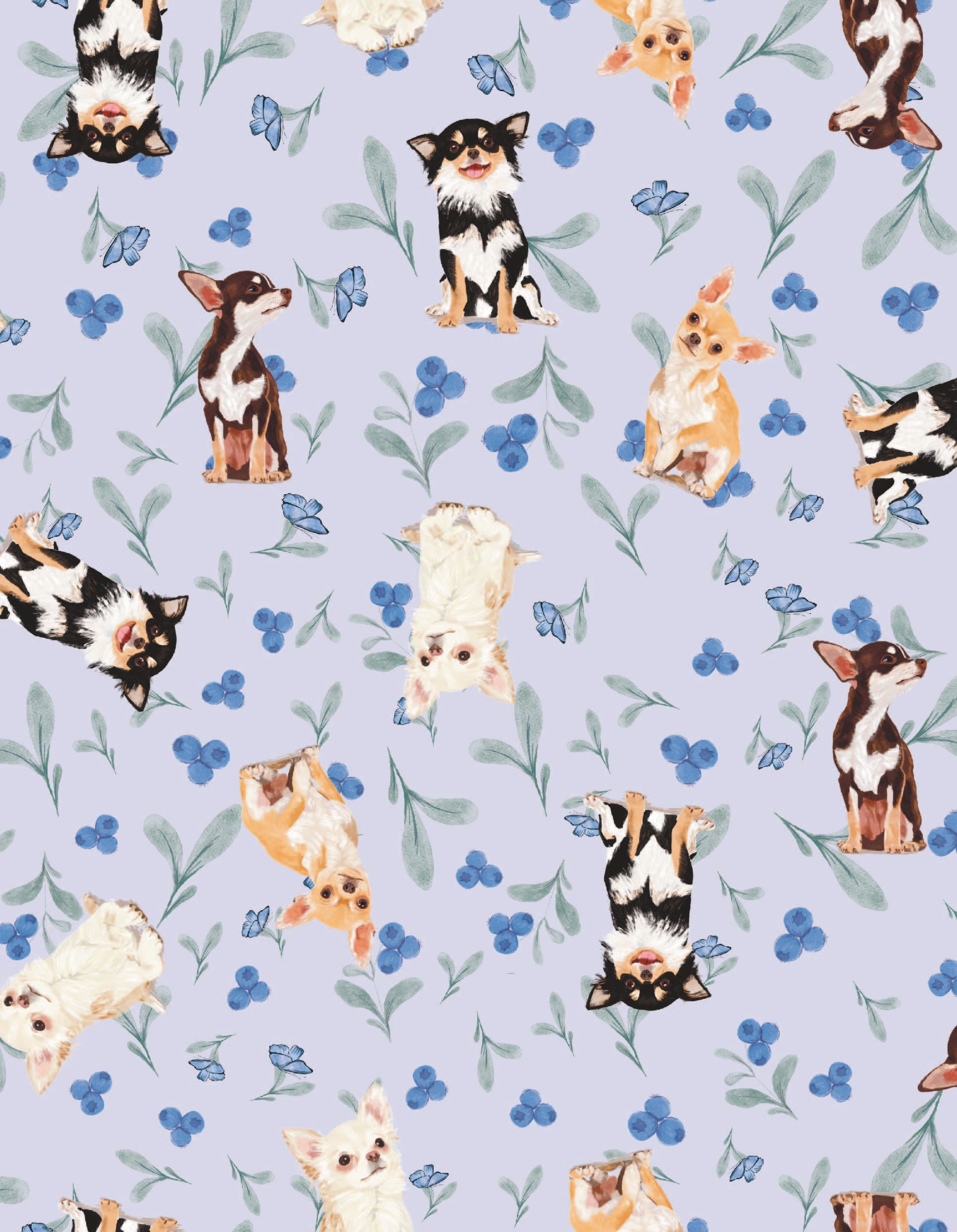 PIJAMA SHORT CHIHUAHUA TS0014