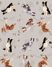 PIJAMA  SHORT BORDER COLLIE GRIS TS0018