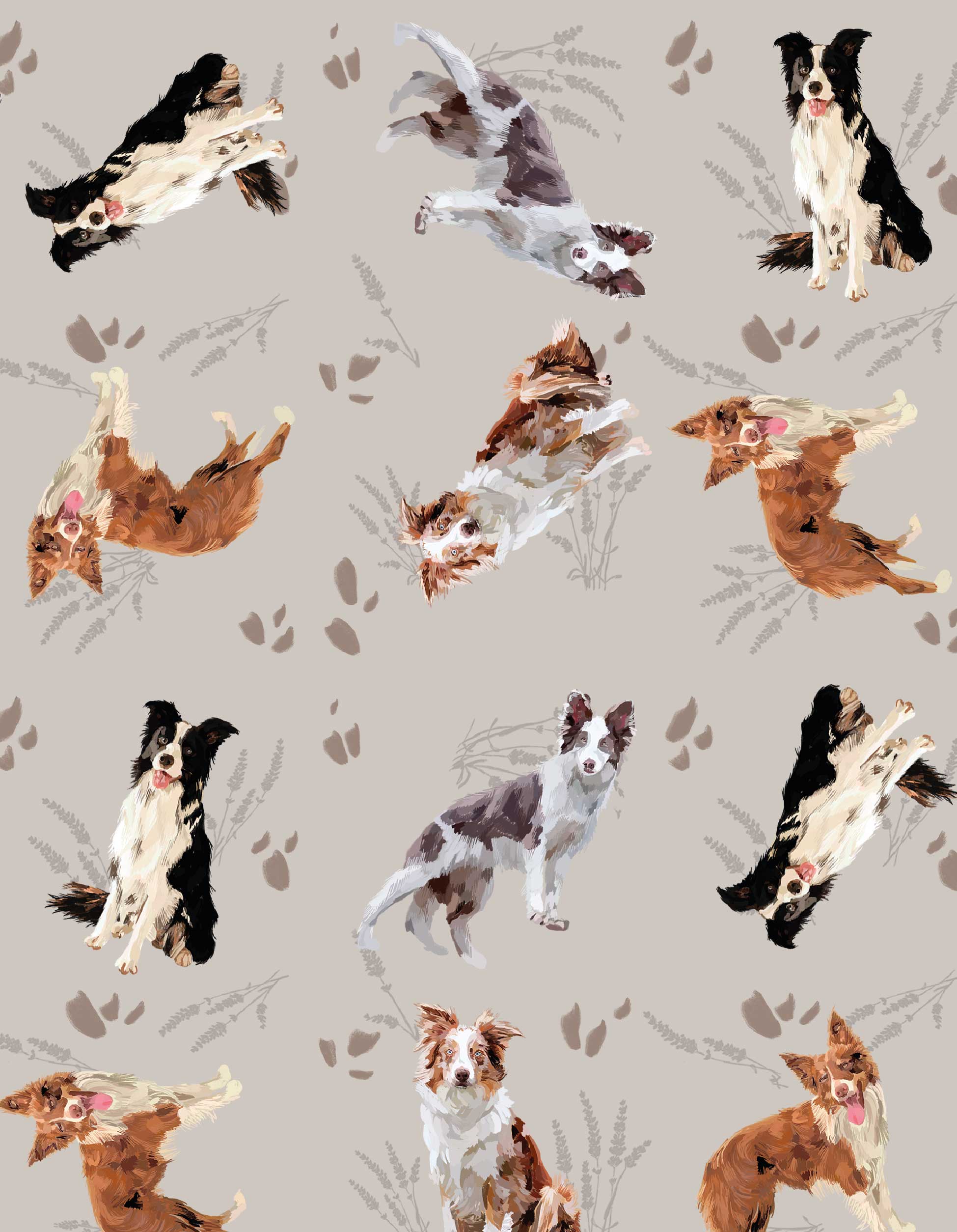 PIJAMA  SHORT BORDER COLLIE GRIS TS0018