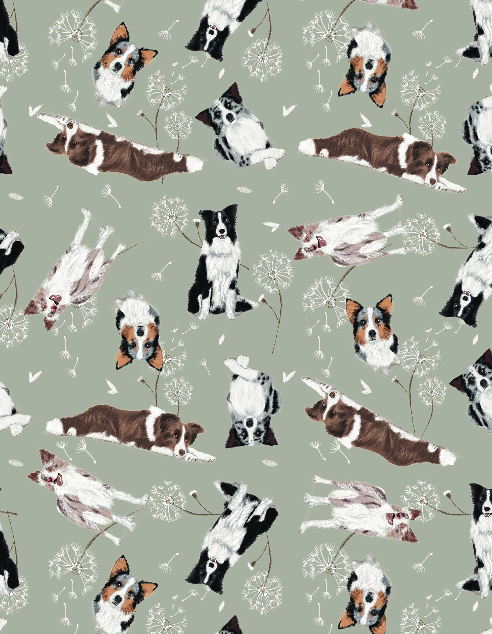 COSMETIQUERA VIAJERA BORDER COLLIE VERDE VTK001