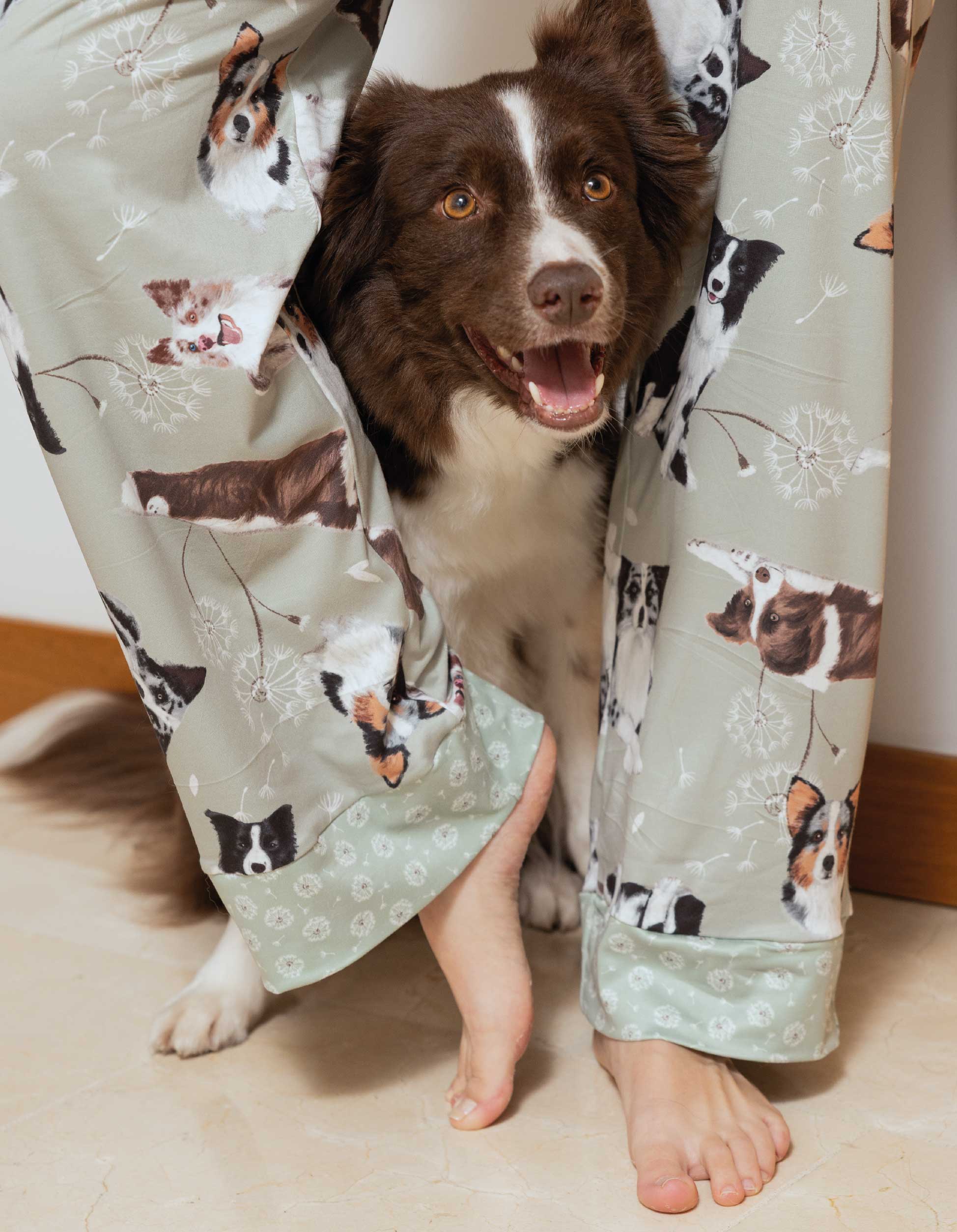 PIJAMA PANTALÓN BORDER COLLIE VERDE TP0068
