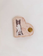 SUJETADOR DE CABLES  BORDER COLLIE STK001