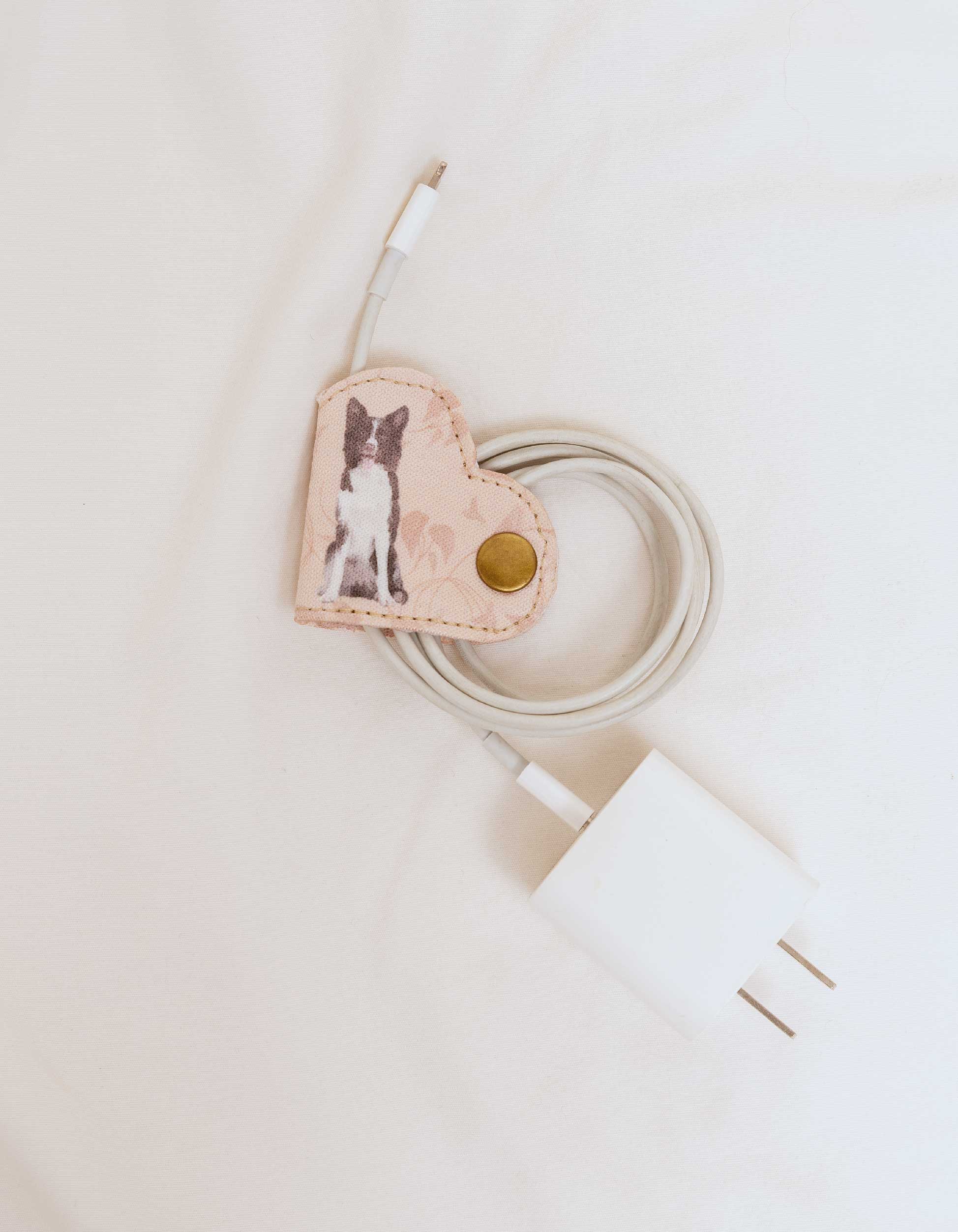 SUJETADOR DE CABLES  BORDER COLLIE STK001