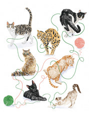 TOTE BAG GATOS CBK002