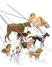 TOTE BAG PERROS CBK002