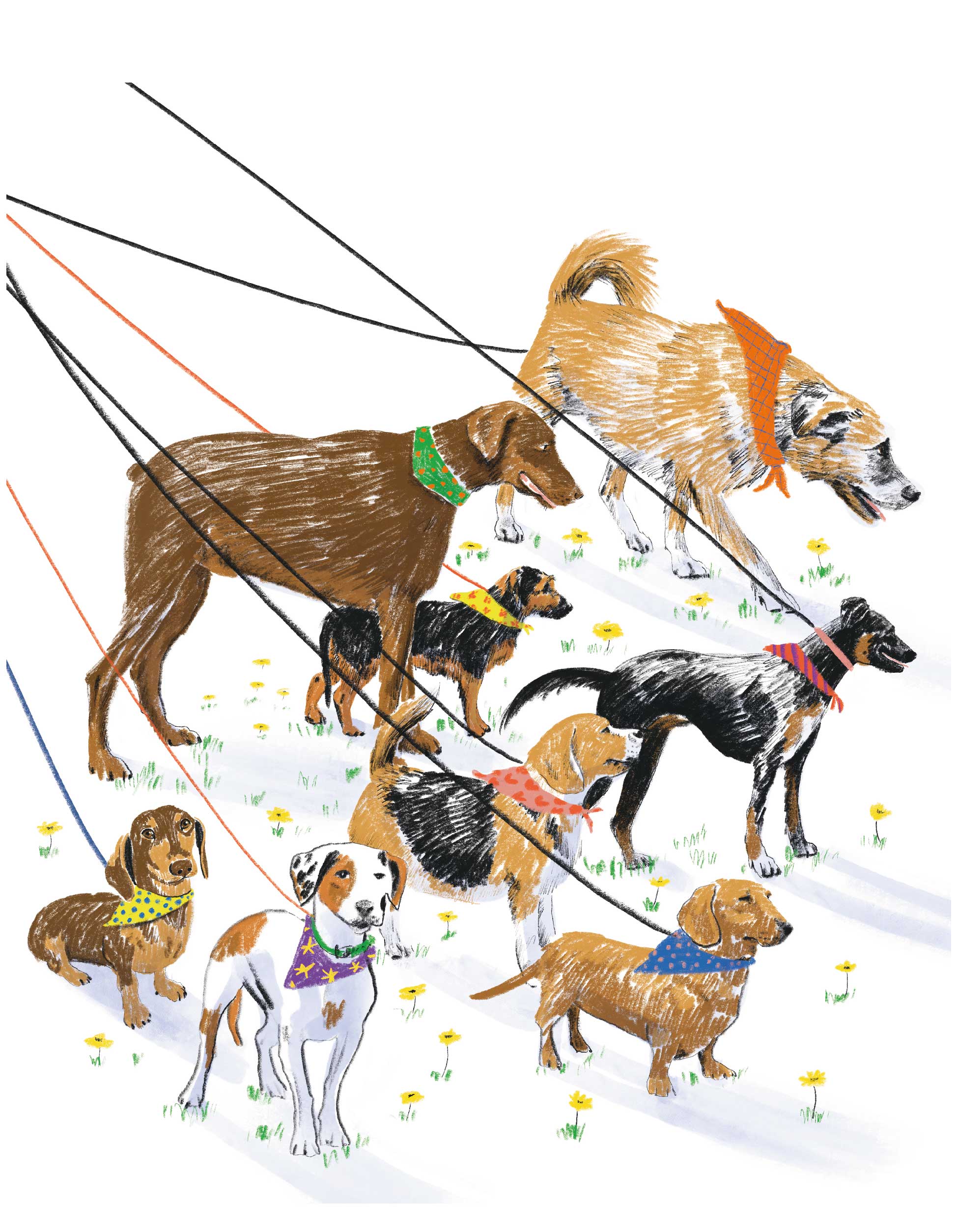 TOTE BAG PERROS CBK002