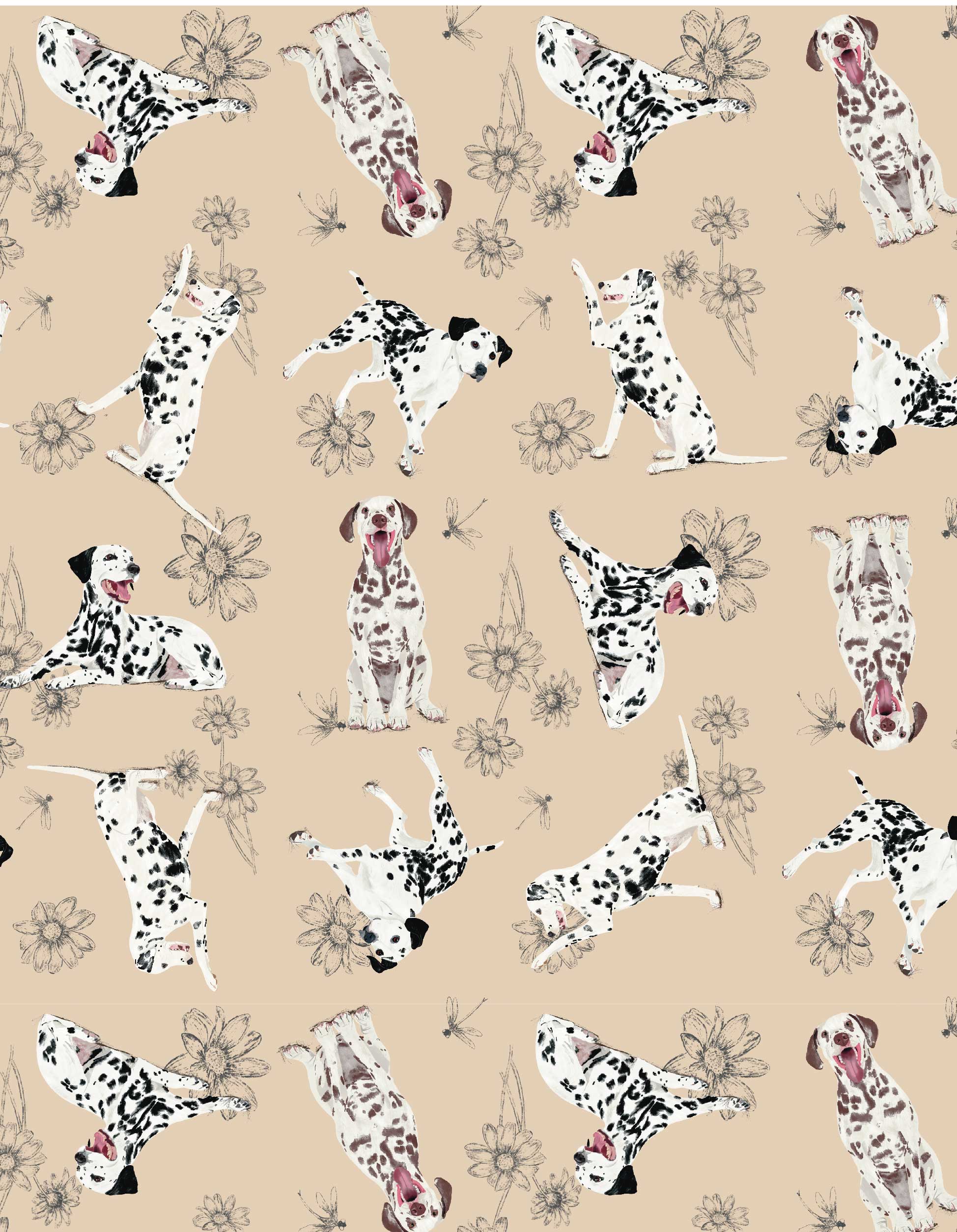 COSMETIQUERA DÁLMATA CTK001