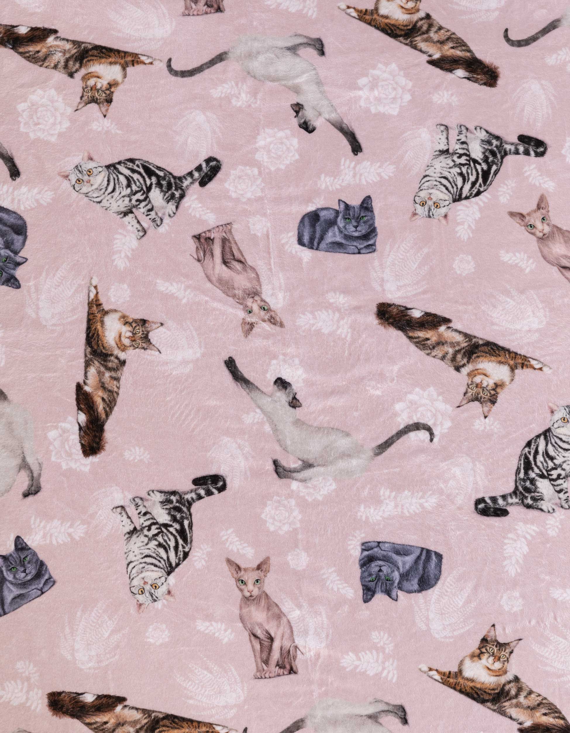 KIT ACCESORIOS GATOS MULTIRAZA ROSADO