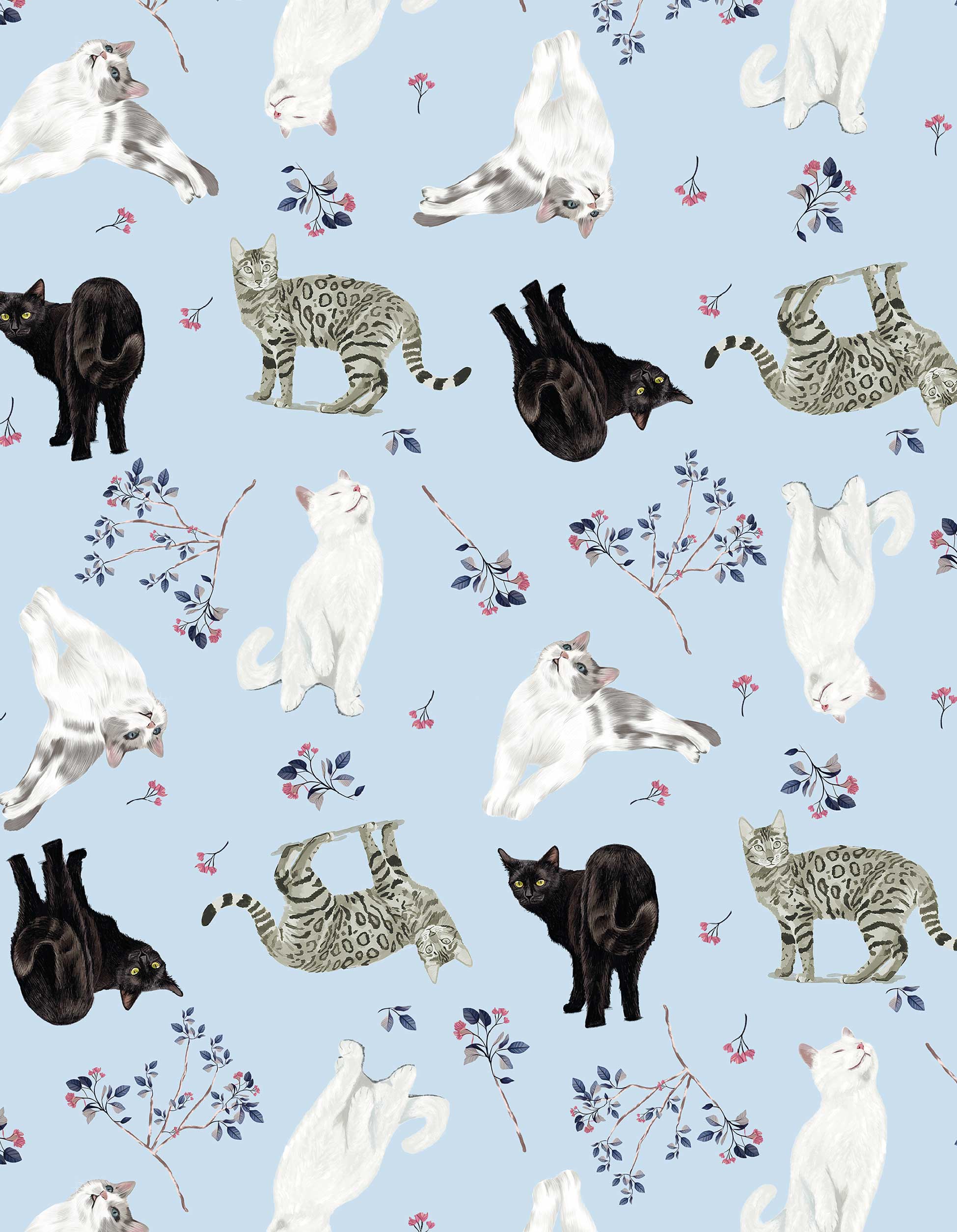 PIJAMA PANTALÓN GATOS AZUL TP0046