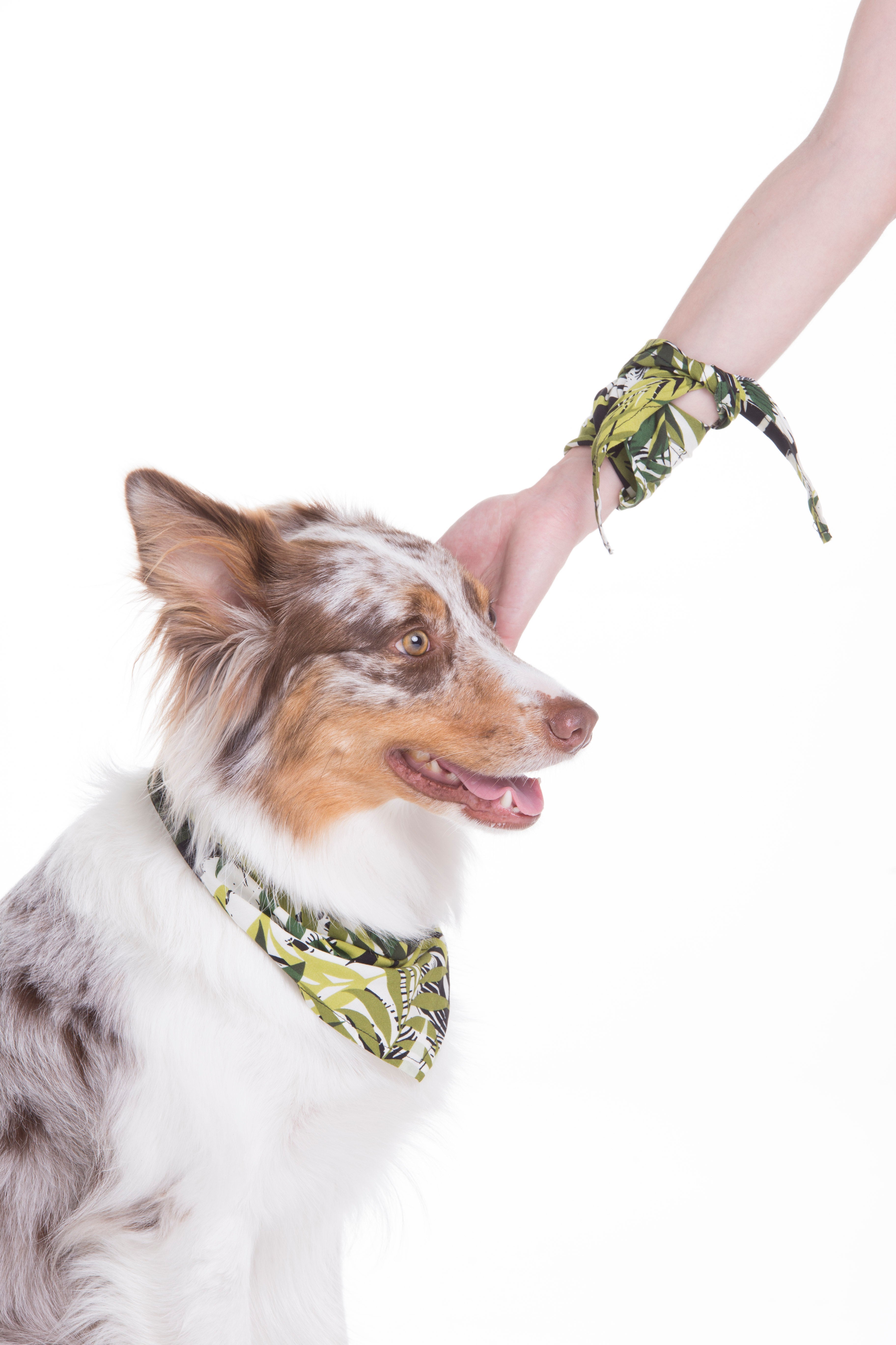 Pañoleta Hojas Verdes