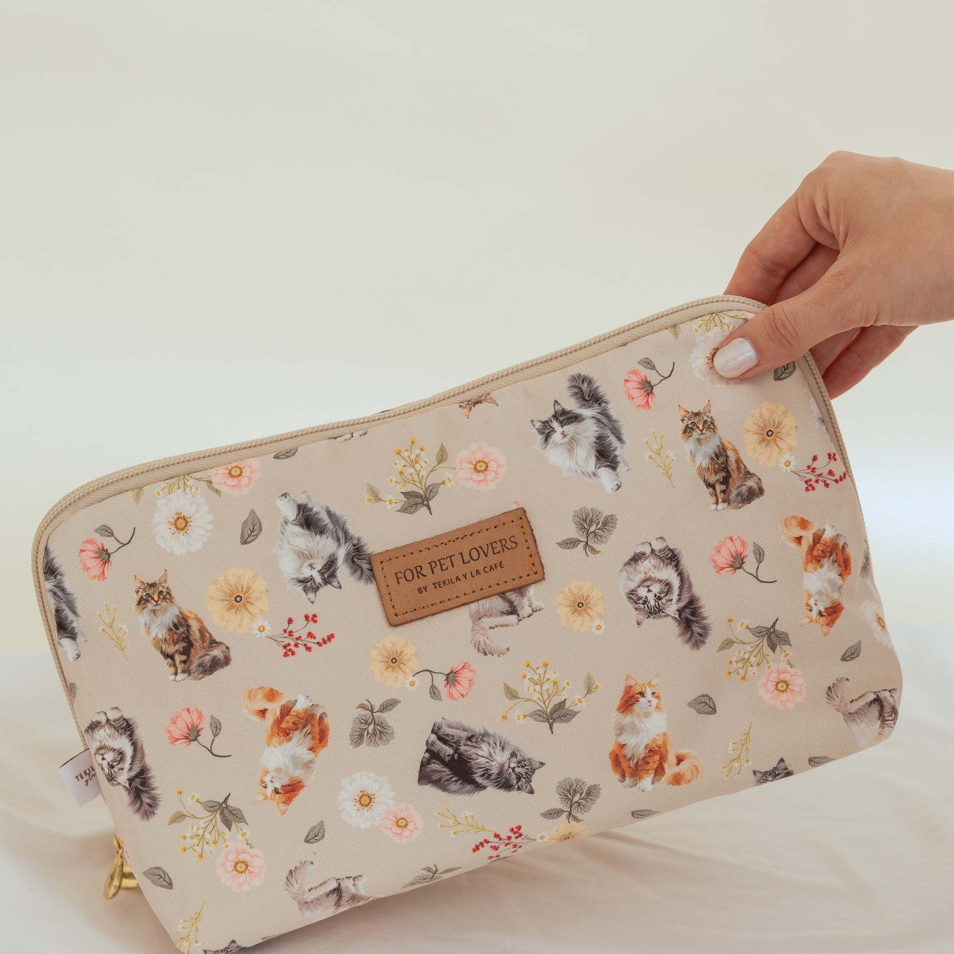Accesorios de gatos