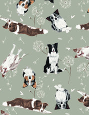 PIJAMA PANTALÓN BORDER COLLIE VERDE TP0068