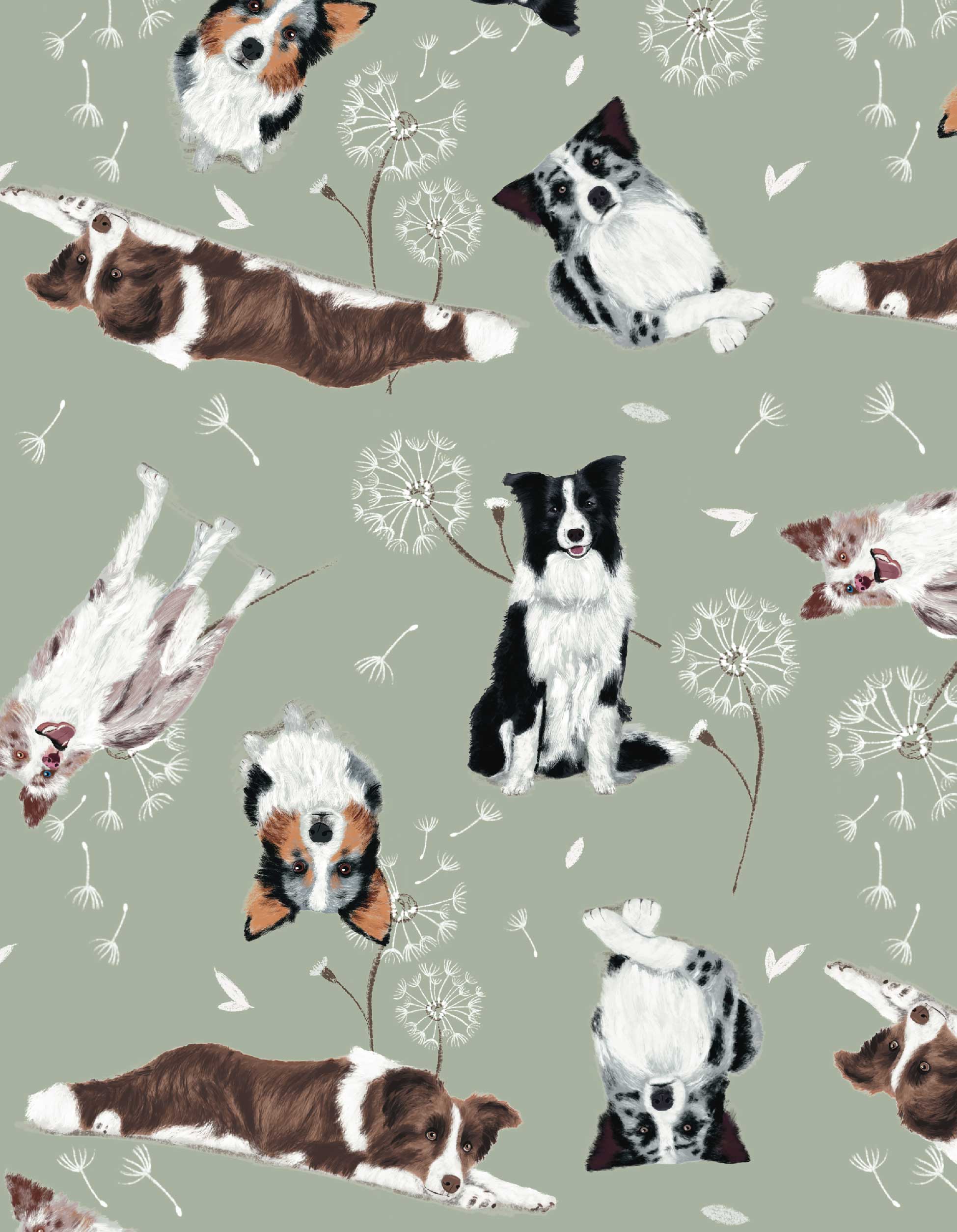 PIJAMA PANTALÓN BORDER COLLIE VERDE TP0068