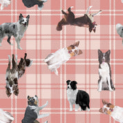 COSMETIQUERA BORDER COLLIE CTK001