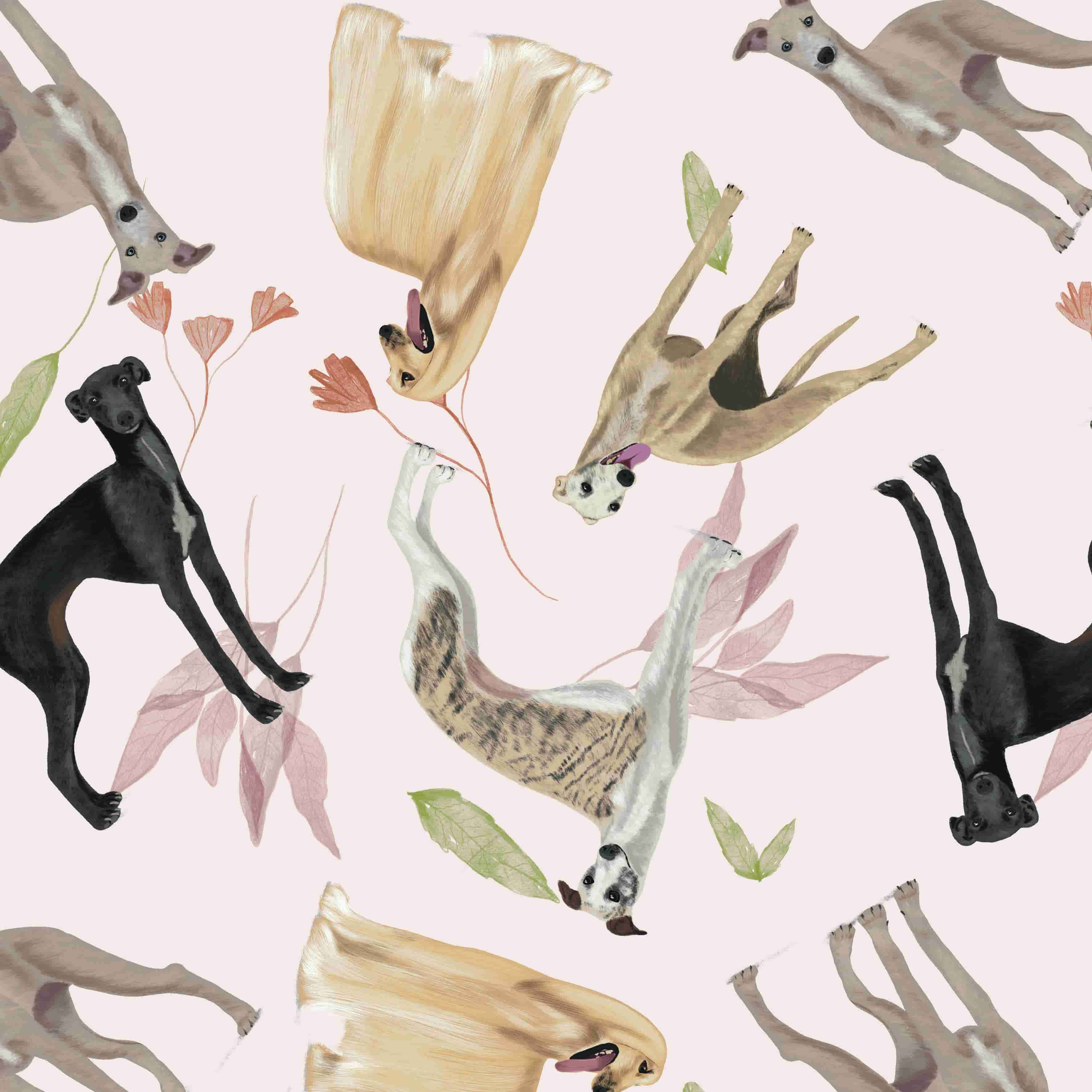 Ilustracion-Galgos.jpg