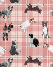 PIJAMA BORDER COLLIE PL0337