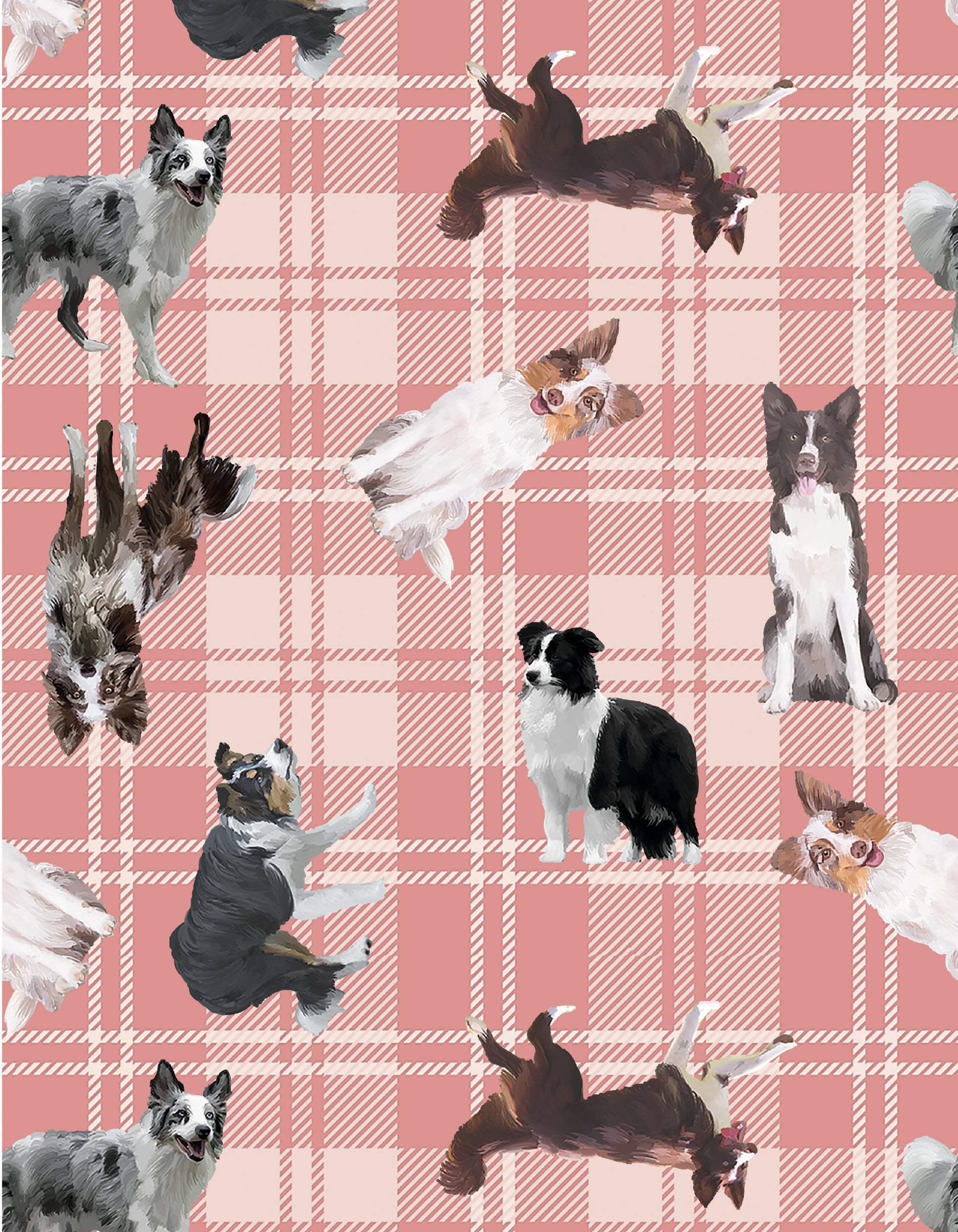 PIJAMA BORDER COLLIE PL0339