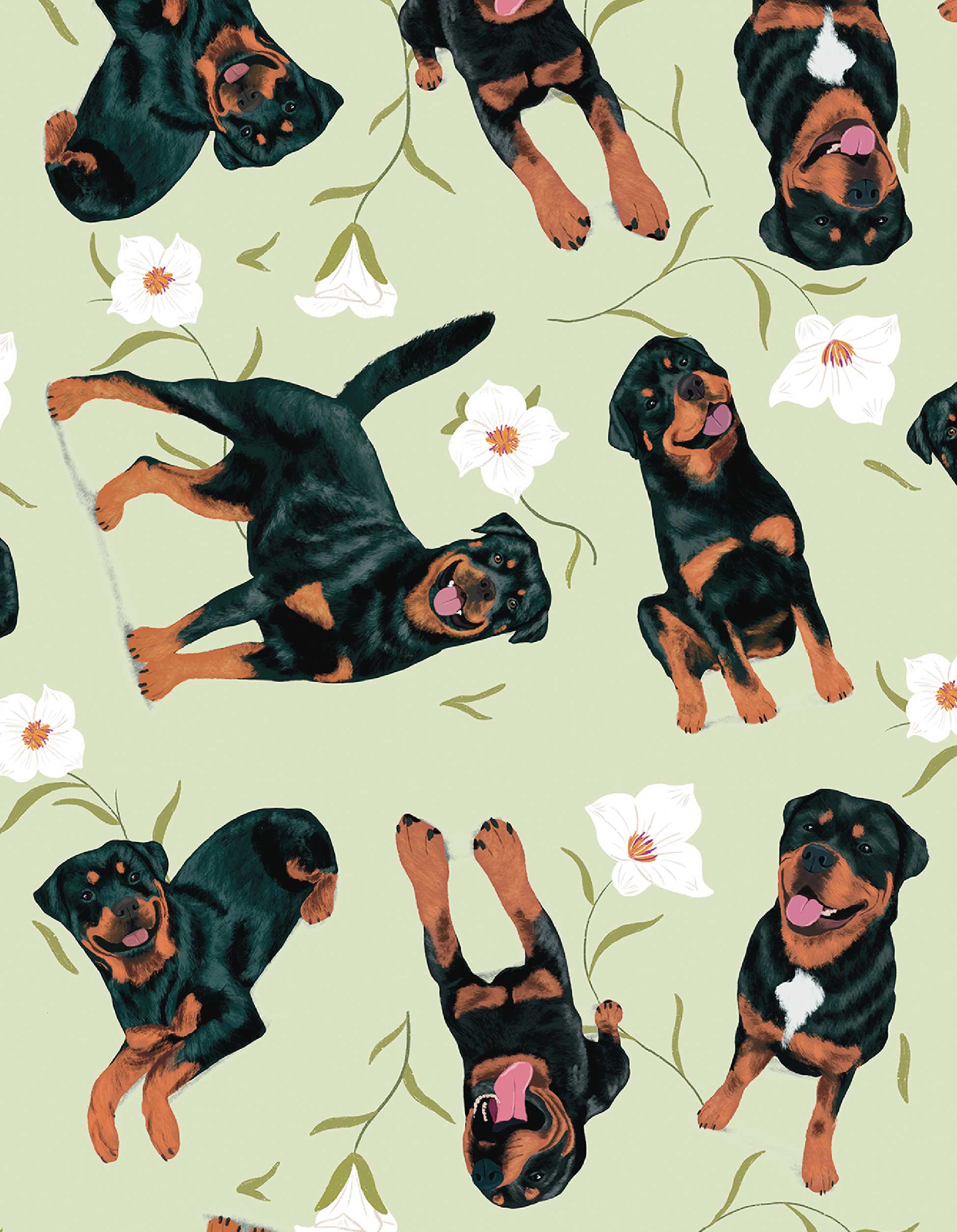 COSMETIQUERA ROTTWEILER VERDE CTK001