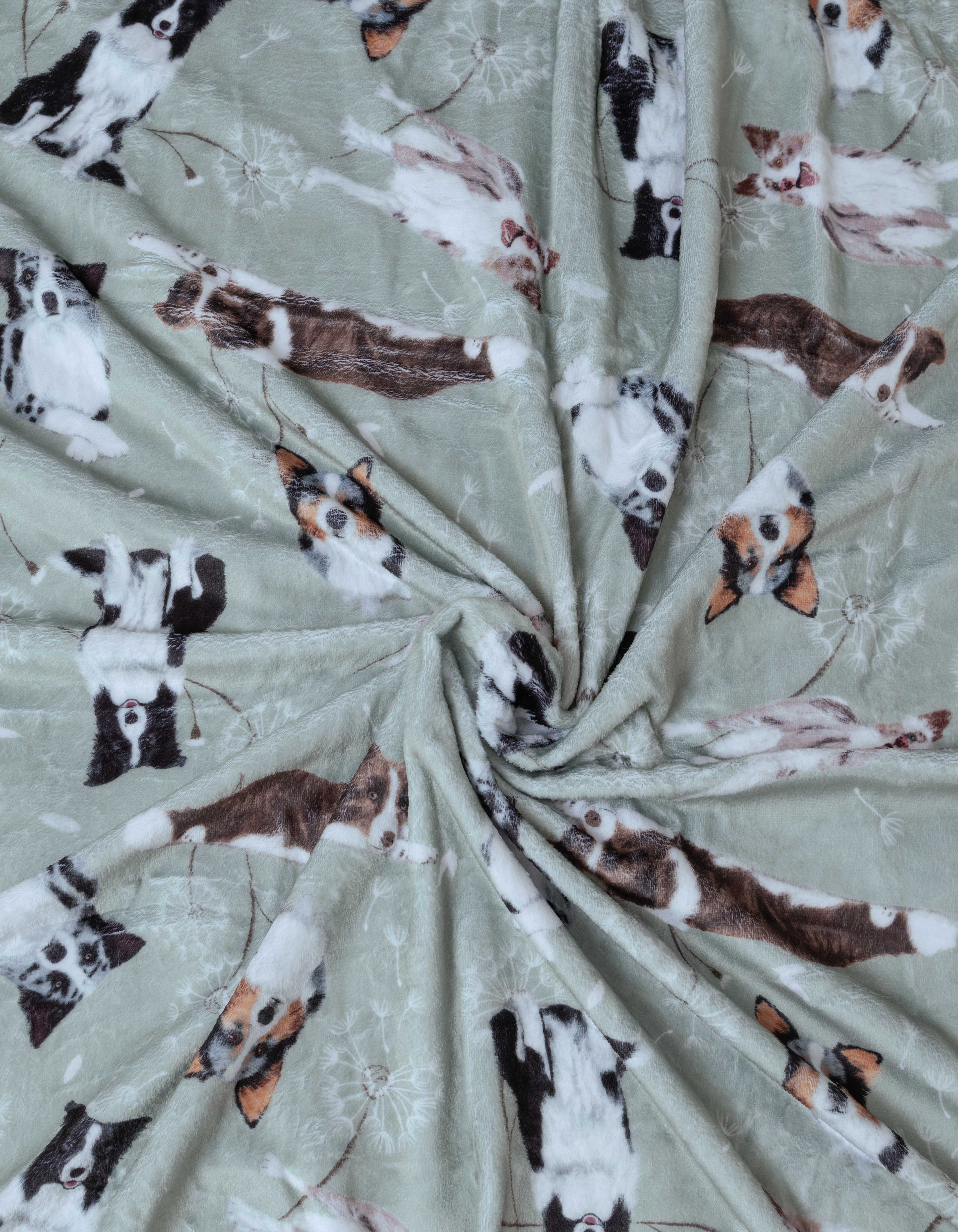 COBIJA BORDER COLLIE VERDE CBT001