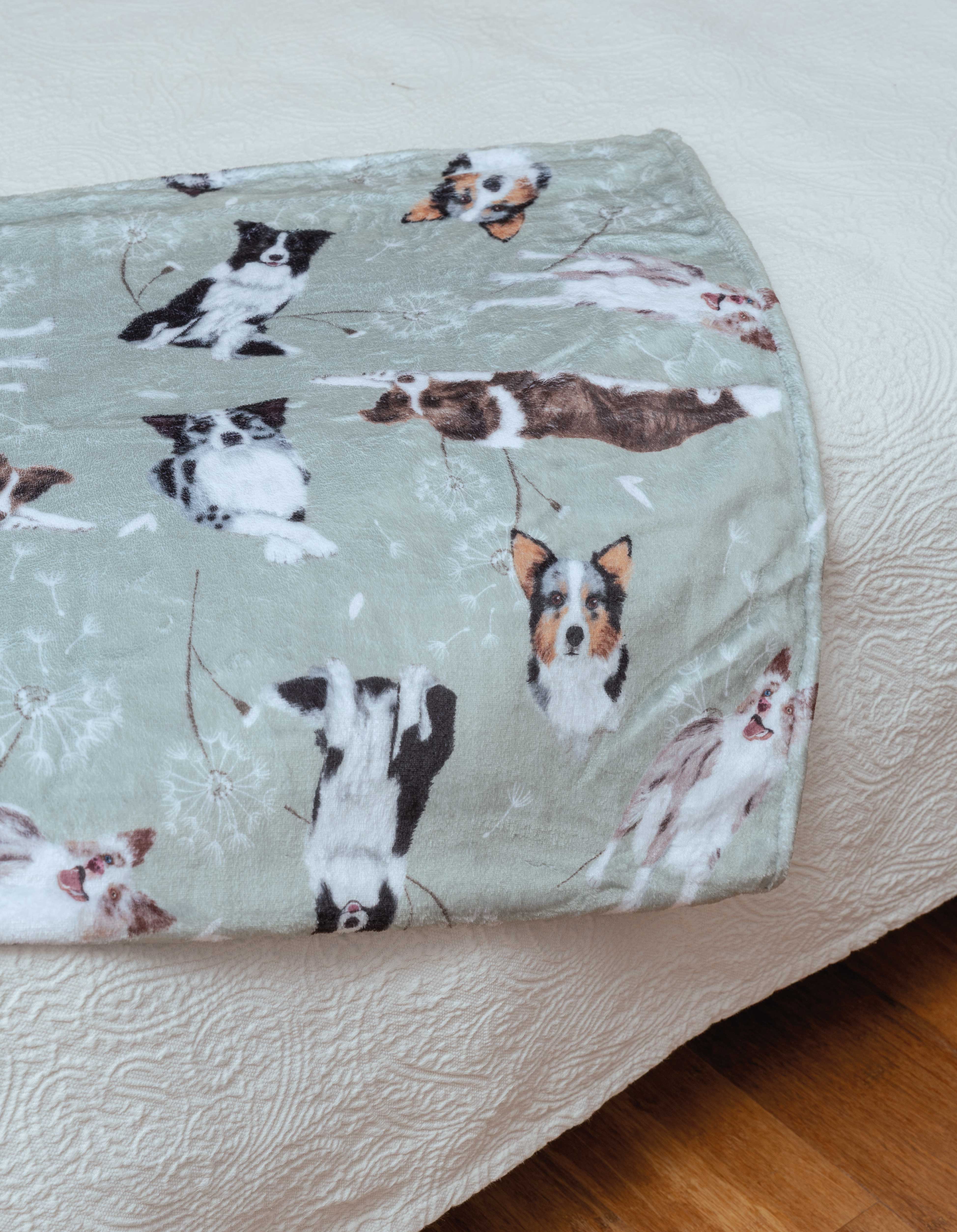 COBIJA BORDER COLLIE VERDE CBT001