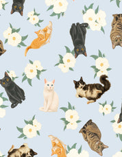 PIJAMA PANTALÓN GATOS CRIOLLOS AZUL TP0086